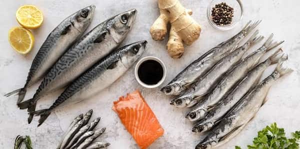 Fatty Fish