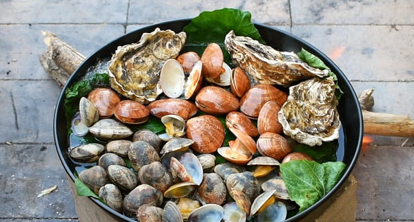 Top 5 Foods for Testosterone